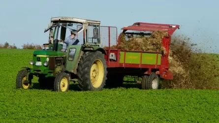Фермерские технологии: органические удобрения местного производства выходят на рынок 