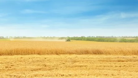 Көрші ел Қазақстанмен шектесетін өңірлерінде алаңдатарлық шешім қабылдады