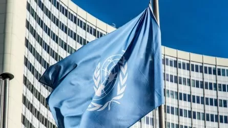 ООН призвала страны решать споры мирными путями