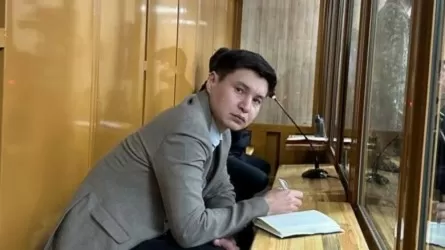 Убийство Салтанат Нукеновой: брат Бишимбаева выйдет по амнистии