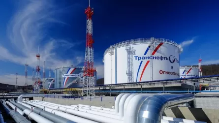 «Транснефть» вице-президенті жұмбақ жағдайда қаза тапты