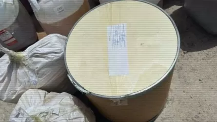 Алматы облысында жасырын есірткі зертханасы табылды