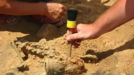 Древнее оружие нашли археологи в курганах Баянаула 