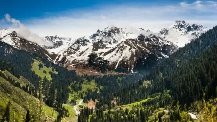 Группа туристов с детьми застряла ночью в горах