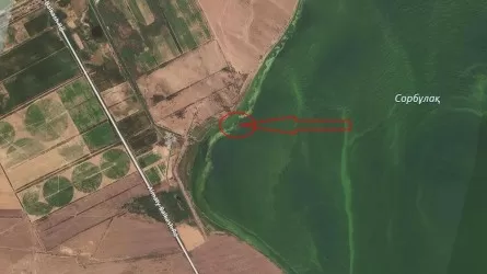Сорбұлақта жоғалған тікұшақты іздеу жұмыстары тәулік бойы жүргізілуде