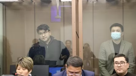 Бишімбаевтың інісі рақымшылыққа өтініш берді