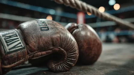 WBO оставила Бивола в покое