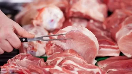 Как в Казахстане будут следить за качеством мяса сайгака 