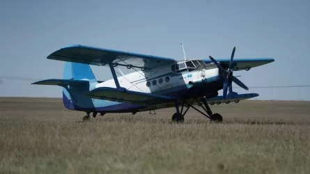 Павлодар облысында шыбын-шіркейдің саны айтарлықтай азайды 