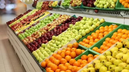 Алматы облысында жеміс пен көкөніс өңдейтін зауыт іске қосылады
