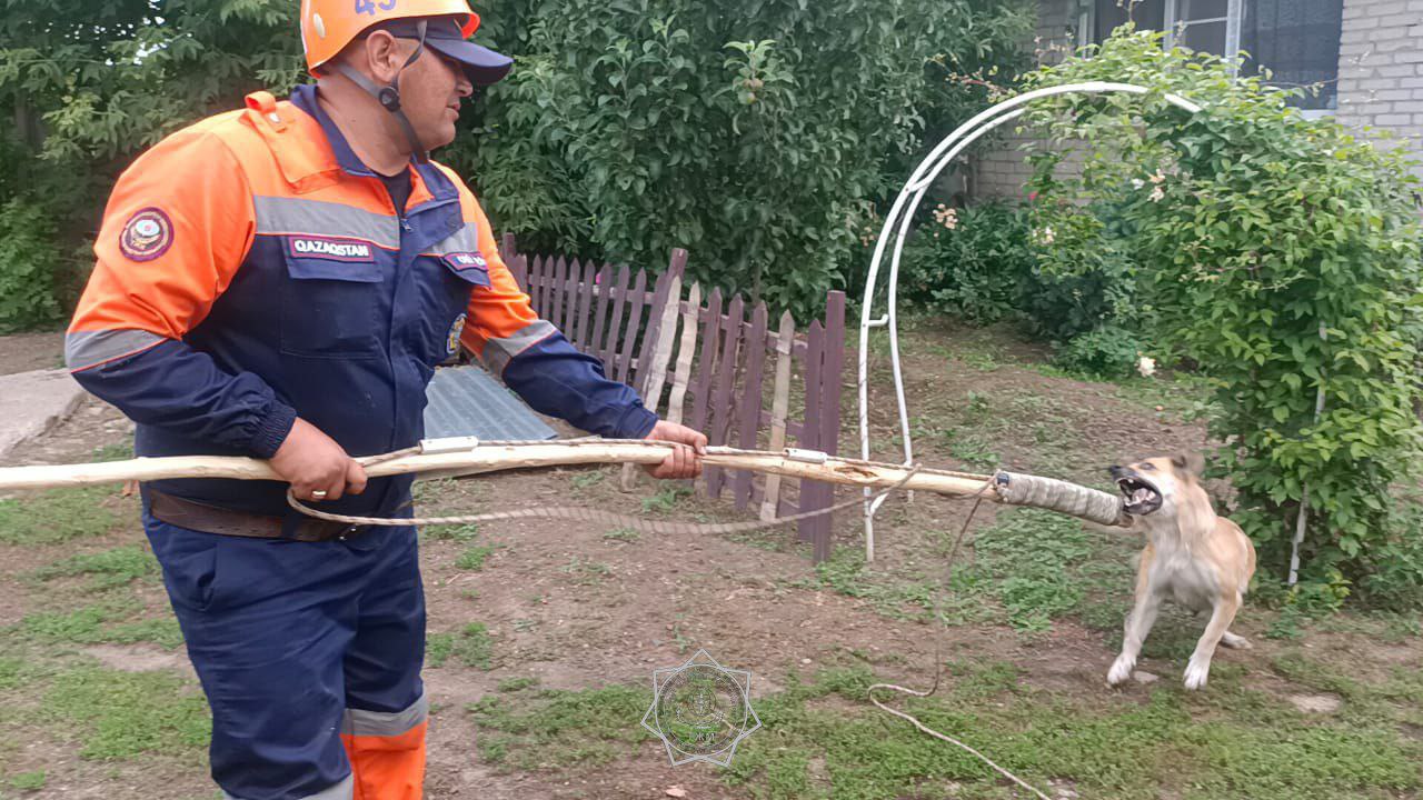 Уральские спасатели спустились под землю и помогли бездомной собаке