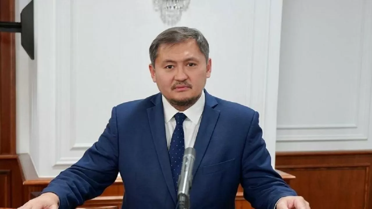Владеет ли Саясат Нурбек долями в университетах страны 
