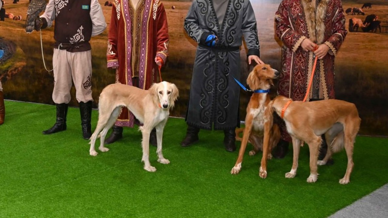 Психолог науқасты ұрып тастады (бейнені қараңыз)