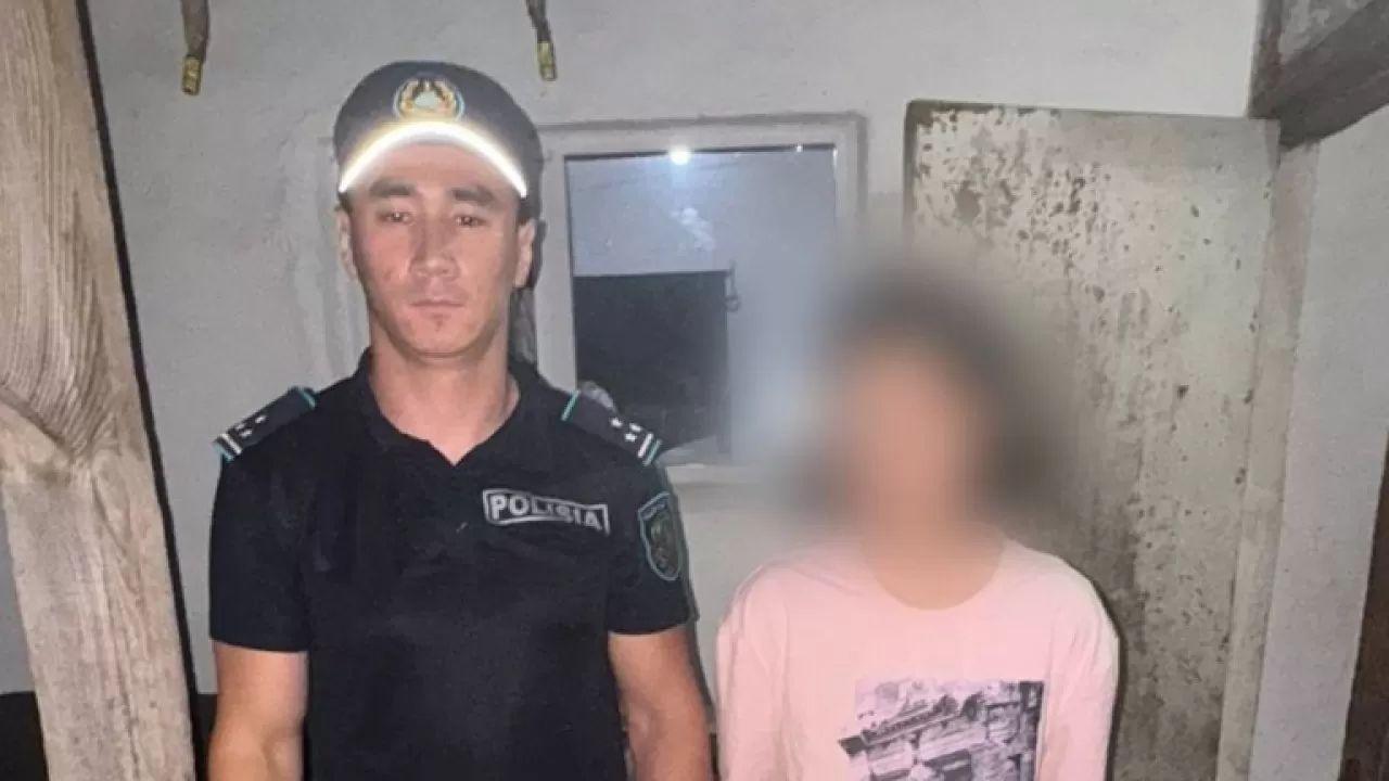 Полиция сделала новое заявление о пропавшей в Семее девочке 