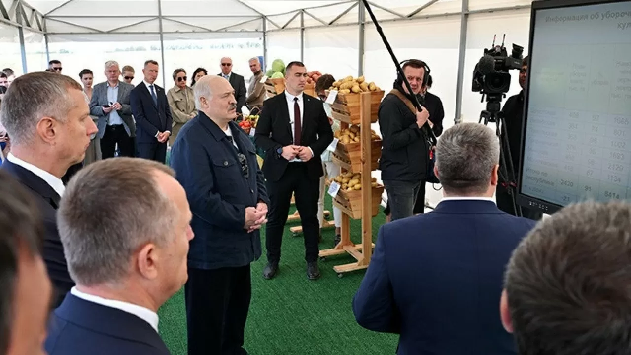 Лукашенко привезет картофель в подарок лидерам стран-участниц саммита ШОС