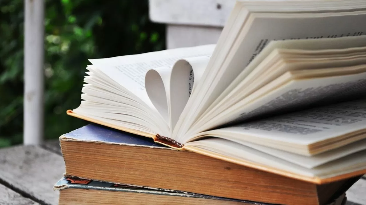 Дания отменит 25% налог на книги, чтобы люди больше читали 