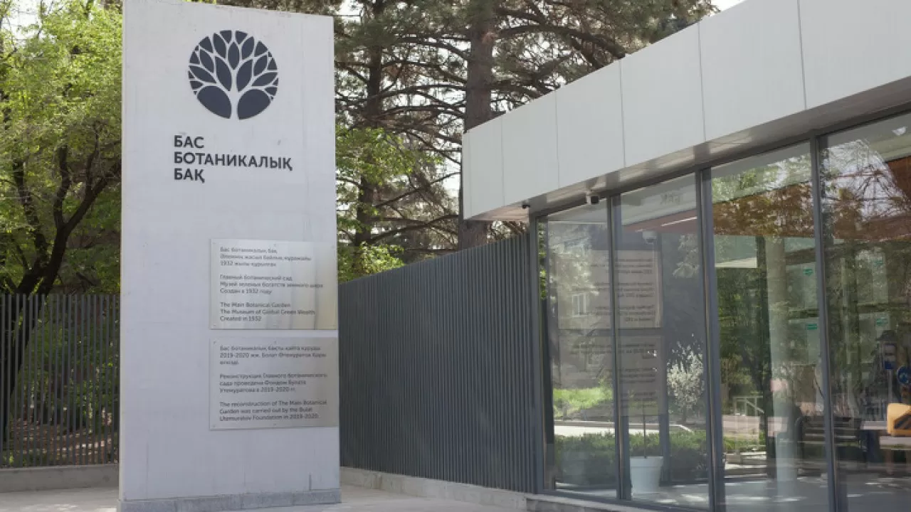 Алматыда аққуға қатыгездік көрсеткен ер адам 7 тәулікке қамалды