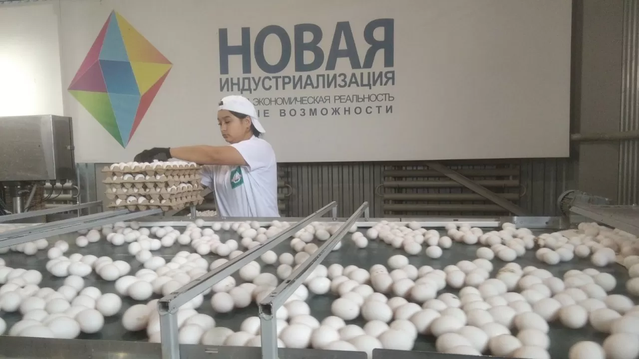 Какие производства на 383 млрд тенге планируют запустить в Костанайской области
