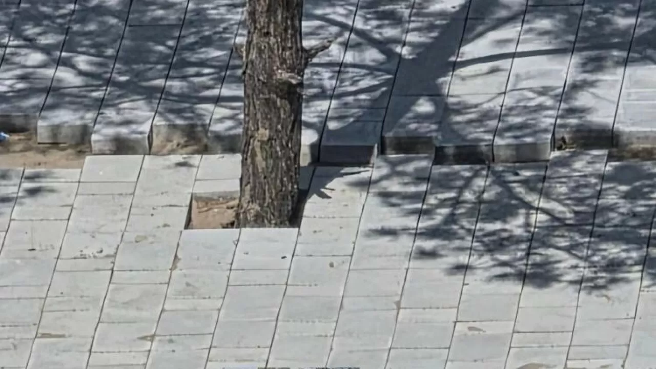 Павлодарские экологи требуют управу на подрядчика 