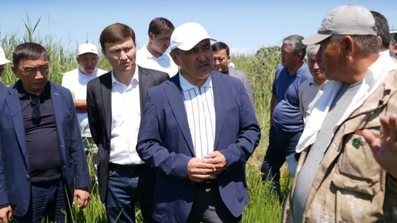 Нуржигитов проверил полив рисовых полей Кызылординской области 