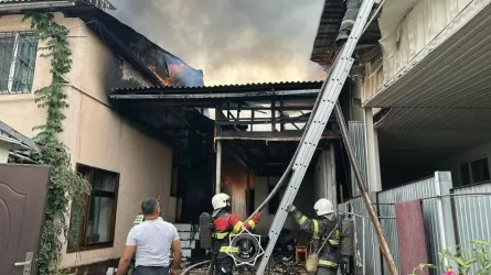 В МЧС показали, как спасали пылающие дом и здание в Горном гиганте в Алматы 