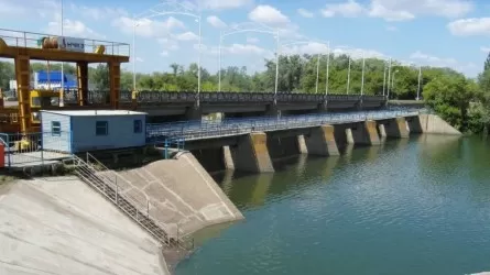 Природоохранные попуски помогли сохранить луга и кормовую базу в ЗКО 
