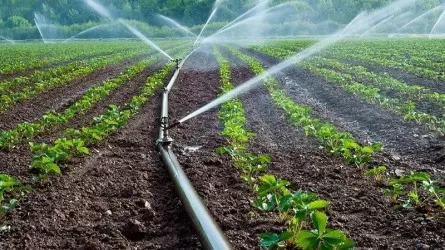Оңтүстікте егіс алқаптарын суаруға жоспарланған су көлемінің 80%-дан астамы алынды