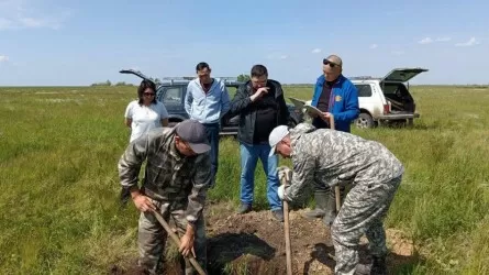 Павлодар облысында жер ресурстарын зерттеу жұмыстары басталды