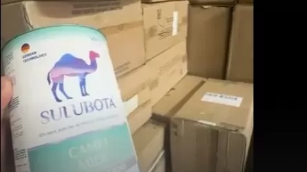 Алматыда контрафактілік түйе сүті өндірісі анықталды 