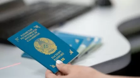 Жыл басынан бері 8 мыңнан аса этникалық қазақ қандас мәртебесін алды