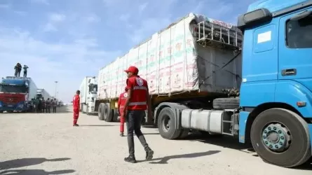 Газа секторының аумағына 800 жүк көлігі кірді