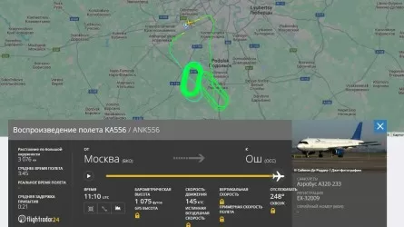 Мәскеуден Қырғызстанға бет алған ұшақта тосын жағдай орын алды