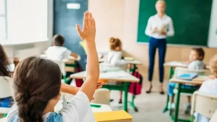 ІІМ жолда жүру ережесін мектептерге жеке міндетті пән етіп енгізуді ұсынып отыр