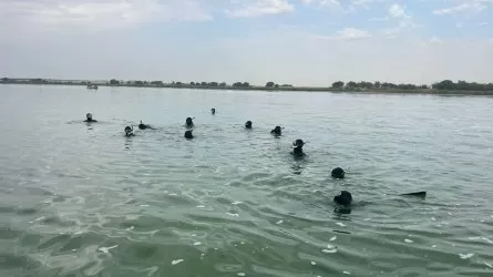 Поиски пропавшего военного вертолета в Алматинской области: новые подробности
