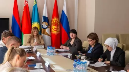 Казахстан представил в ЕАЭС опыт льготного финансирования АПК 