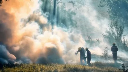 Южная Европа страдает от сильнейших пожаров за последние 30 лет 
