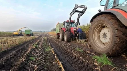 Фермеров Костаная предупредили о налоговых проверках по сделкам 