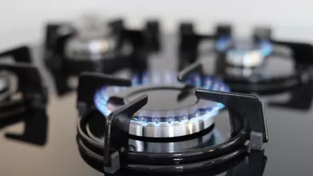Цифровые ваучеры на газ доступны казахстанцам через eGov Mobile 