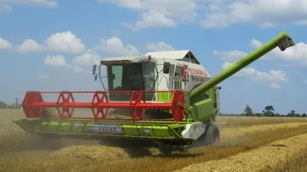 Урожай зерновых в Казахстане задерживается из-за дождей 