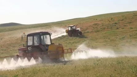 Шегіртке тектес зиянкестерге қарсы дәрілеу жұмыстары аяқталды