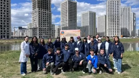 Очистку озера Малый Талдыколь провели в Астане