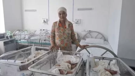 Отбасының 11 баласы бар: Түркістан облысында үшем өмірге келді