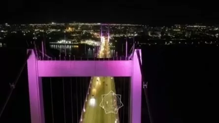 Семейде көпірден секірмек болған ер адам суши мен пицца сұратқан