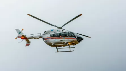 ТЖМ қызметкерлері дәрігерлерге ШҚО-да жаңа туған нәрестені құтқаруға көмектесті