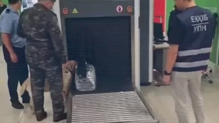 Тайландтан ұшып келген шетелдік марихуанамен ұсталды