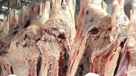 Сайгачье мясо появилось в Актау