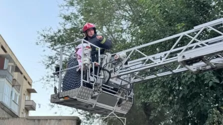 В Таразе при пожаре в многоэтажном доме спасены четверо человек