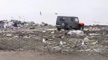 Петропавлдағы қоқыс полигонында оқ-дәрі жарылып, бір адам жарақат алды
