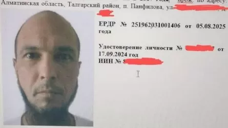 Алматы облысында 80-ге таяған ерлі-зайыптыны тонап, өлтіріп кеткен күдікті іздестіріліп жатыр