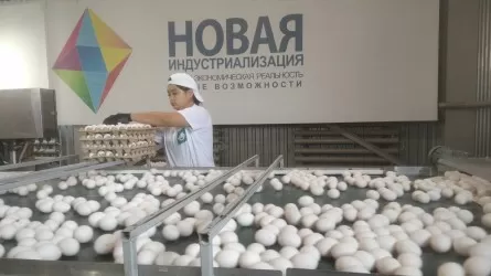 Какие производства на 383 млрд тенге планируют запустить в Костанайской области
